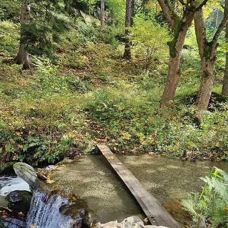 Sienna 1a Czarna Gora Villa *