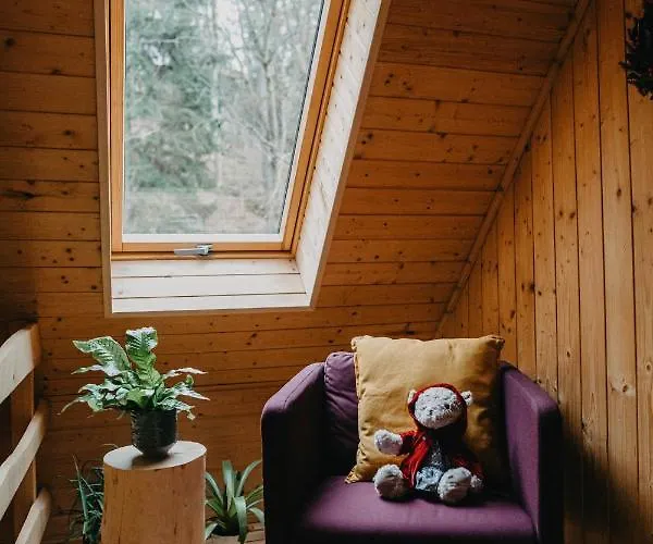 Sienna 1a Czarna Gora ヴィラ Stronie Śląskie