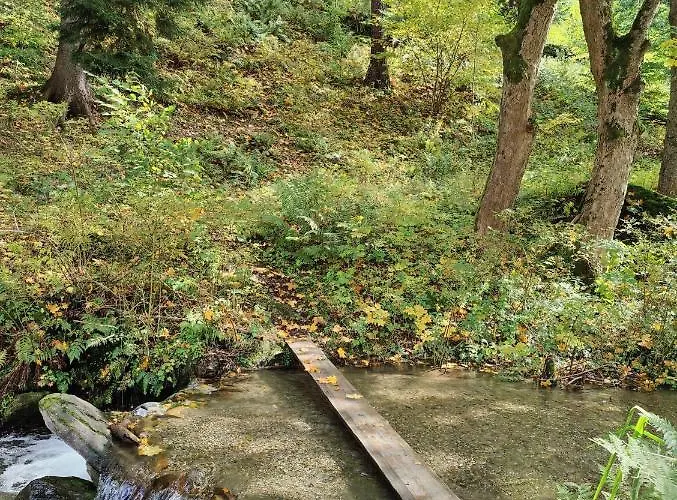 Sienna 1a Czarna Gora Villa *